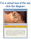 Virtual Tour of the Ear